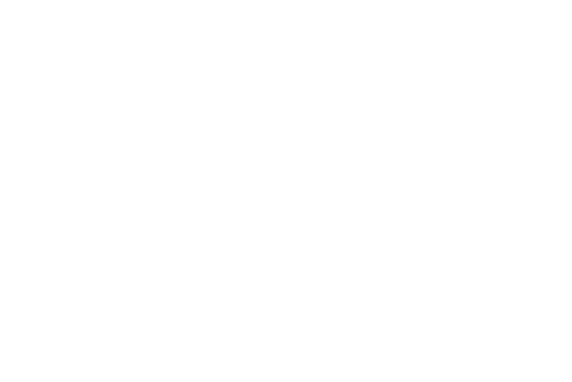 Absolute Motors